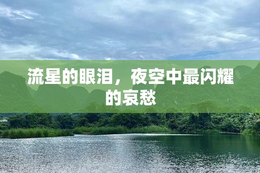 流星的眼泪，夜空中最闪耀的哀愁