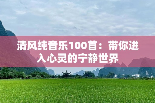 清风纯音乐100首：带你进入心灵的宁静世界