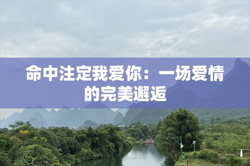 命中注定我爱你：一场爱情的完美邂逅