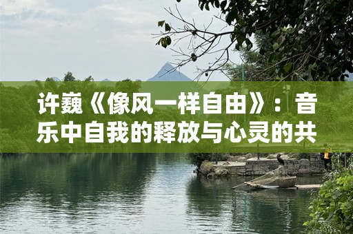 许巍《像风一样自由》：音乐中自我的释放与心灵的共鸣