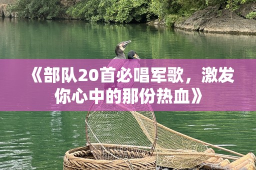 《部队20首必唱军歌，激发你心中的那份热血》