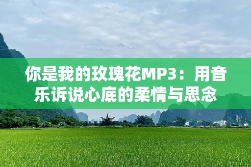 你是我的玫瑰花MP3：用音乐诉说心底的柔情与思念