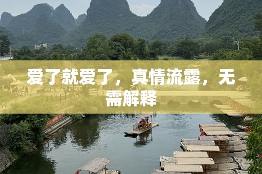 爱了就爱了，真情流露，无需解释