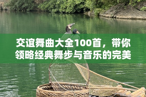 交谊舞曲大全100首，带你领略经典舞步与音乐的完美融合