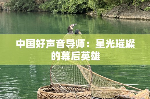 中国好声音导师：星光璀璨的幕后英雄