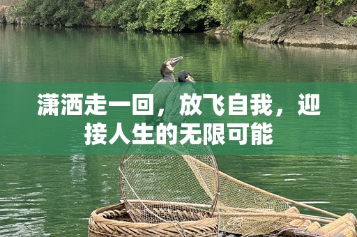 潇洒走一回，放飞自我，迎接人生的无限可能