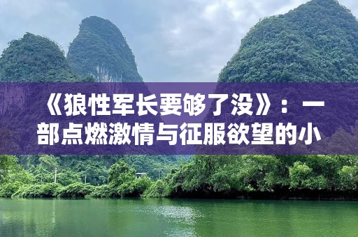 《狼性军长要够了没》：一部点燃激情与征服欲望的小说