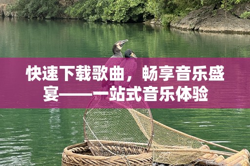 快速下载歌曲，畅享音乐盛宴——一站式音乐体验