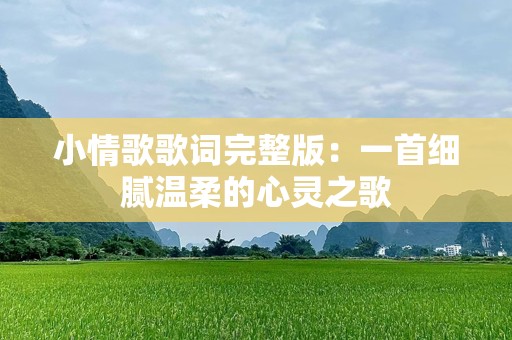 小情歌歌词完整版：一首细腻温柔的心灵之歌