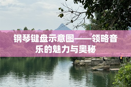钢琴键盘示意图——领略音乐的魅力与奥秘