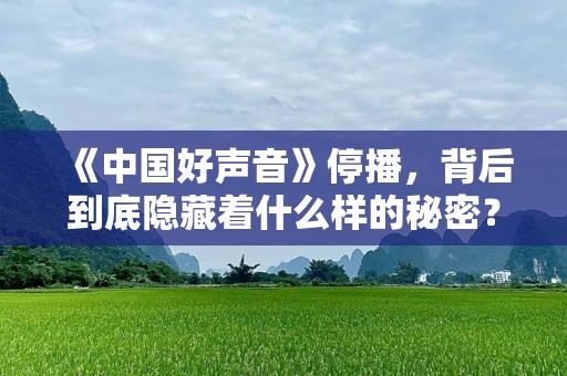 《中国好声音》停播，背后到底隐藏着什么样的秘密？