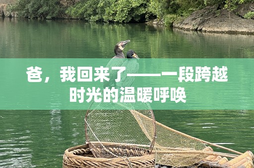 爸，我回来了——一段跨越时光的温暖呼唤