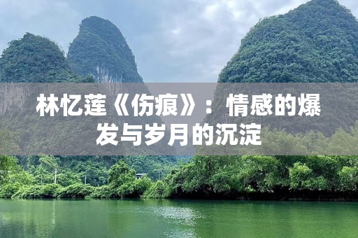 林忆莲《伤痕》：情感的爆发与岁月的沉淀