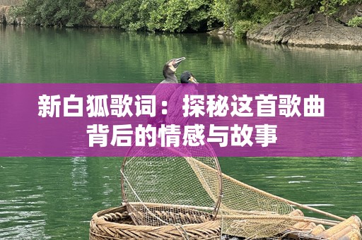 新白狐歌词：探秘这首歌曲背后的情感与故事
