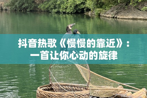 抖音热歌《慢慢的靠近》：一首让你心动的旋律