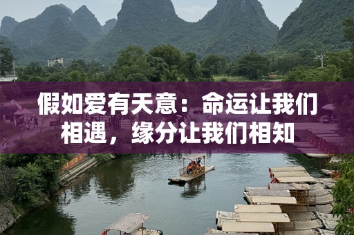 假如爱有天意：命运让我们相遇，缘分让我们相知