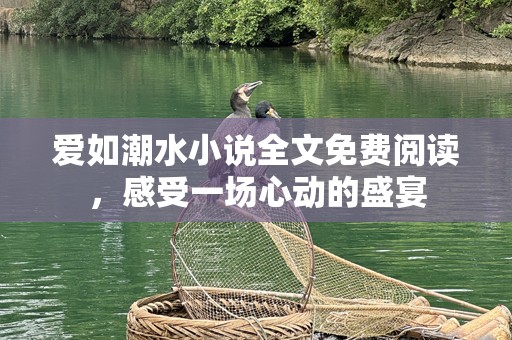 爱如潮水小说全文免费阅读，感受一场心动的盛宴