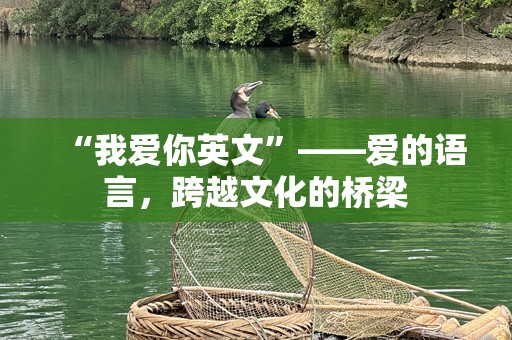 “我爱你英文”——爱的语言，跨越文化的桥梁