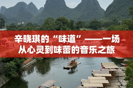 辛晓琪的“味道”——一场从心灵到味蕾的音乐之旅