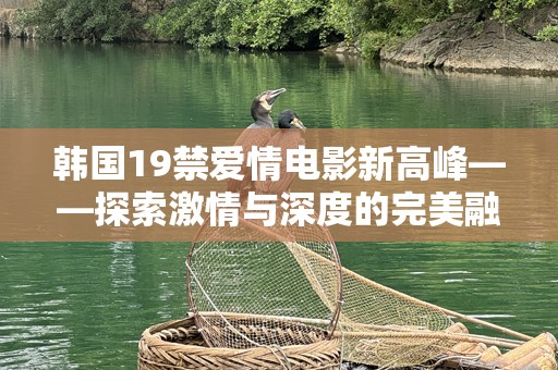 韩国19禁爱情电影新高峰——探索激情与深度的完美融合