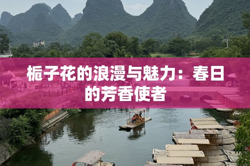 栀子花的浪漫与魅力：春日的芳香使者