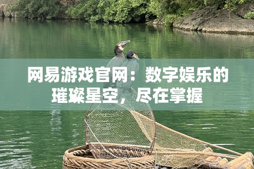 网易游戏官网：数字娱乐的璀璨星空，尽在掌握