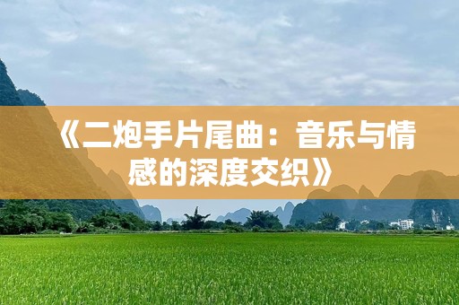 《二炮手片尾曲：音乐与情感的深度交织》