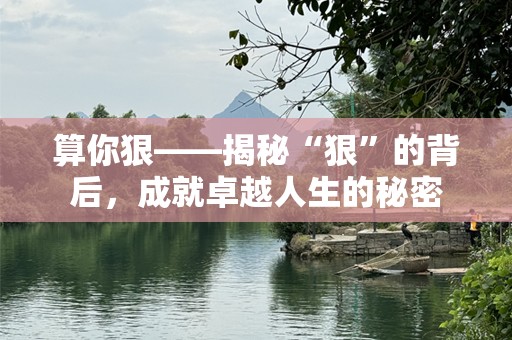 算你狠——揭秘“狠”的背后，成就卓越人生的秘密