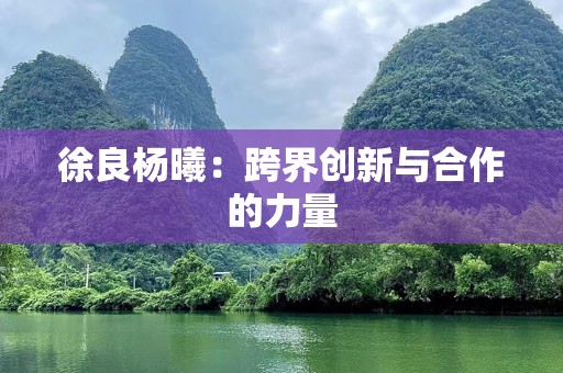徐良杨曦：跨界创新与合作的力量