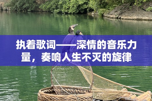 执着歌词——深情的音乐力量，奏响人生不灭的旋律