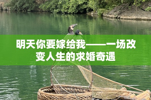 明天你要嫁给我——一场改变人生的求婚奇遇