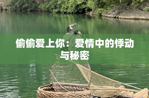 偷偷爱上你：爱情中的悸动与秘密