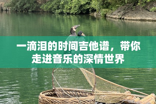 一滴泪的时间吉他谱，带你走进音乐的深情世界