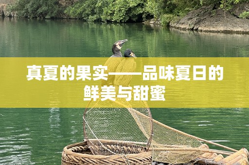 真夏的果实——品味夏日的鲜美与甜蜜