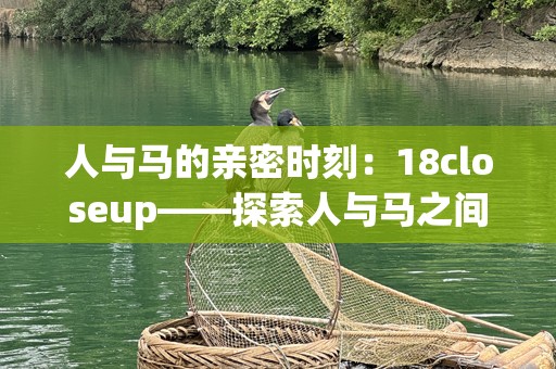 人与马的亲密时刻：18closeup——探索人与马之间的深厚情感