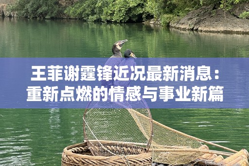 王菲谢霆锋近况最新消息：重新点燃的情感与事业新篇章