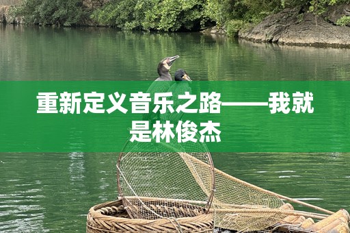 重新定义音乐之路——我就是林俊杰