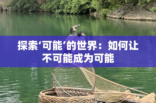 探索‘可能’的世界：如何让不可能成为可能