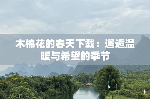 木棉花的春天下载：邂逅温暖与希望的季节