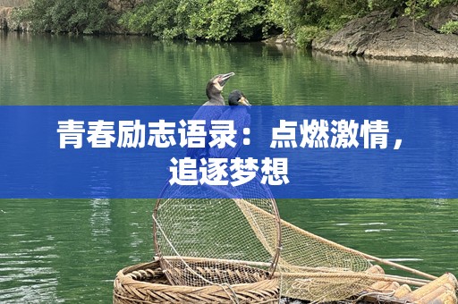青春励志语录：点燃激情，追逐梦想