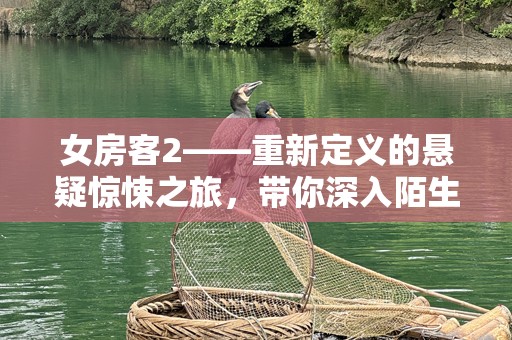 女房客2——重新定义的悬疑惊悚之旅，带你深入陌生的世界