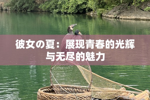 彼女の夏：展现青春的光辉与无尽的魅力