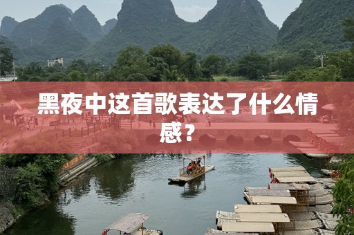 黑夜中这首歌表达了什么情感？