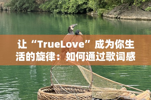 让“TrueLove”成为你生活的旋律：如何通过歌词感受真爱