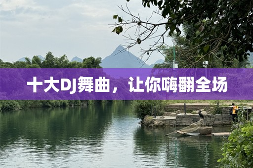 十大DJ舞曲，让你嗨翻全场