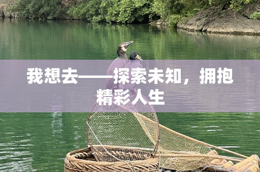 我想去——探索未知，拥抱精彩人生