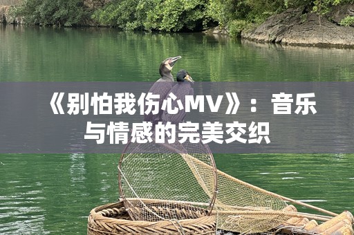 《别怕我伤心MV》：音乐与情感的完美交织