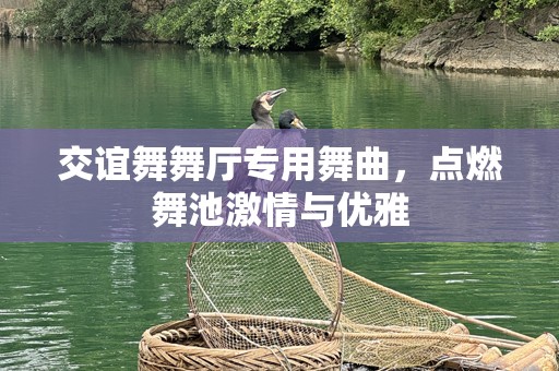 交谊舞舞厅专用舞曲，点燃舞池***与优雅
