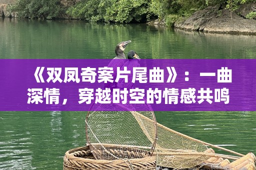 《双凤奇案片尾曲》：一曲深情，穿越时空的情感共鸣