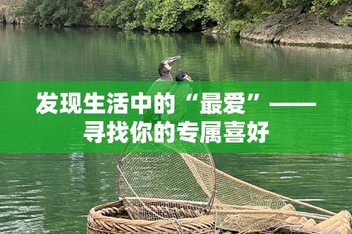 发现生活中的“最爱”——寻找你的专属喜好